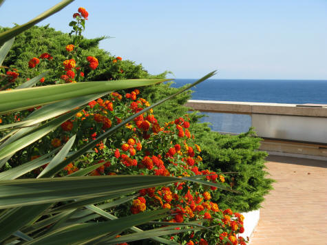 Jardin Exotique in Monaco