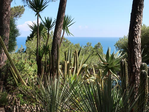 Jardin Exotique in Monaco